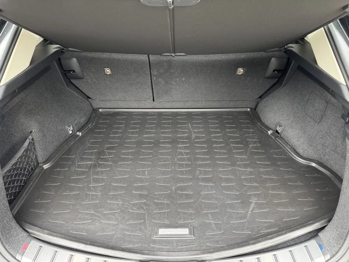 Lexus NX usata a Como (11)