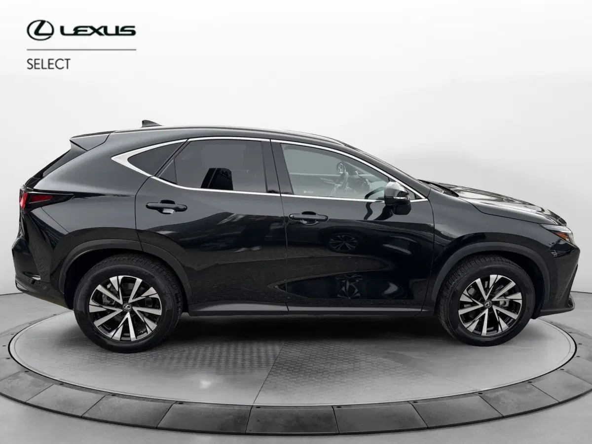 Lexus NX usata a Como (12)