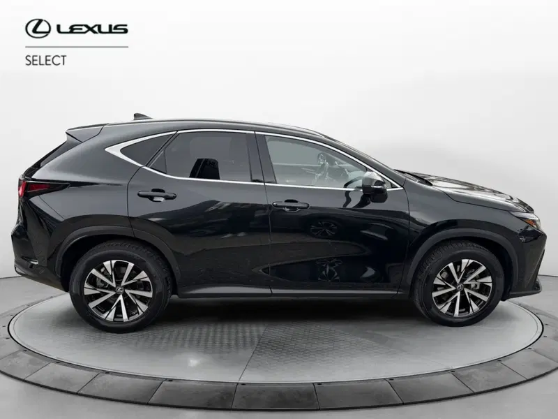Lexus NX usata a Como (12)