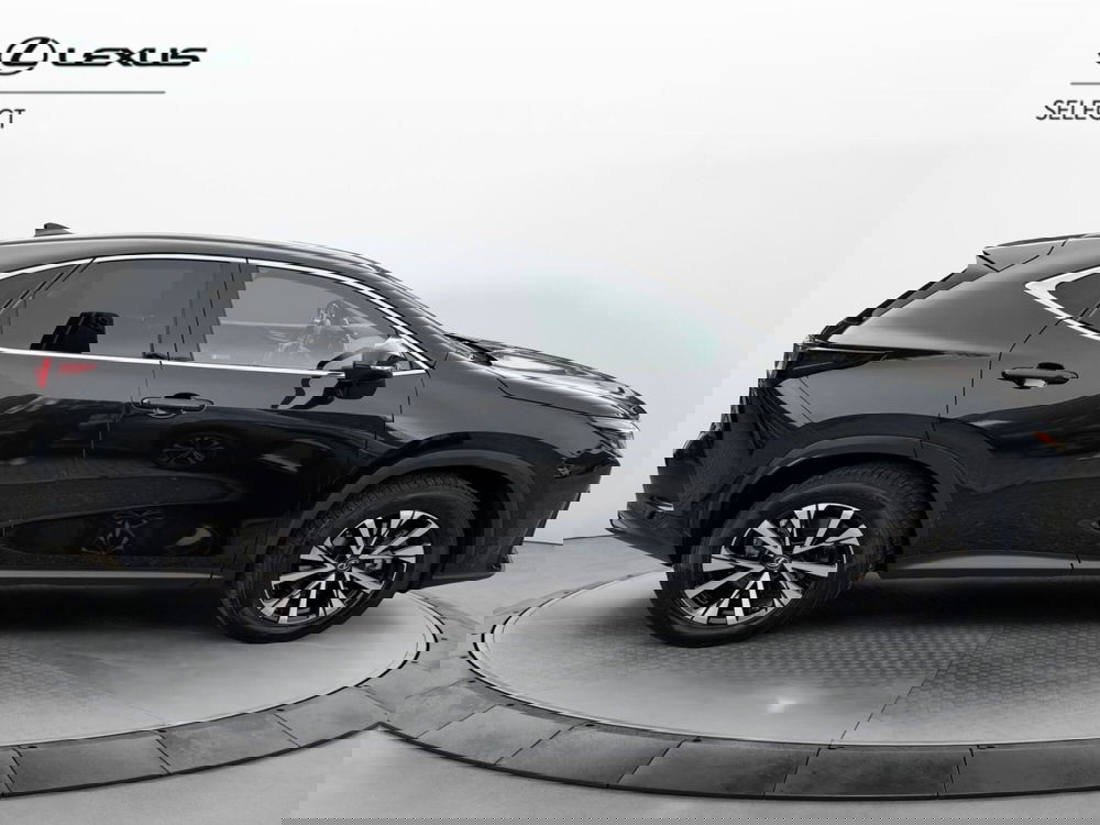 Lexus NX usata a Como (12)