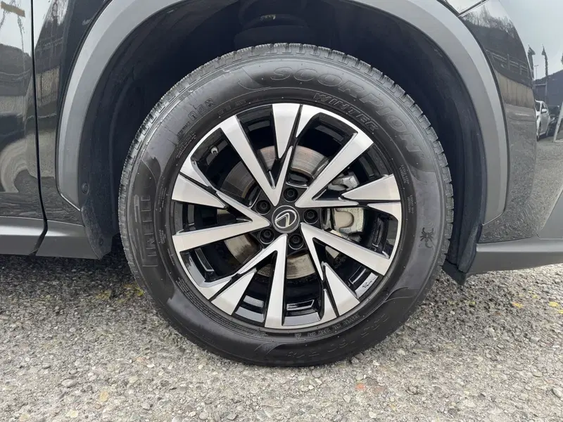 Lexus NX usata a Como (13)