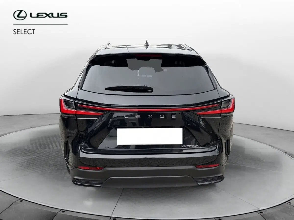 Lexus NX usata a Como (3)
