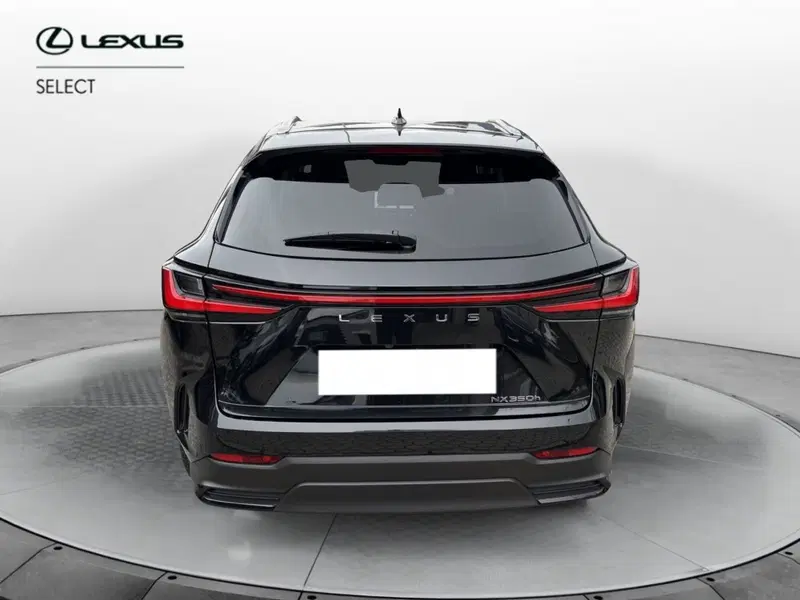 Lexus NX usata a Como (3)