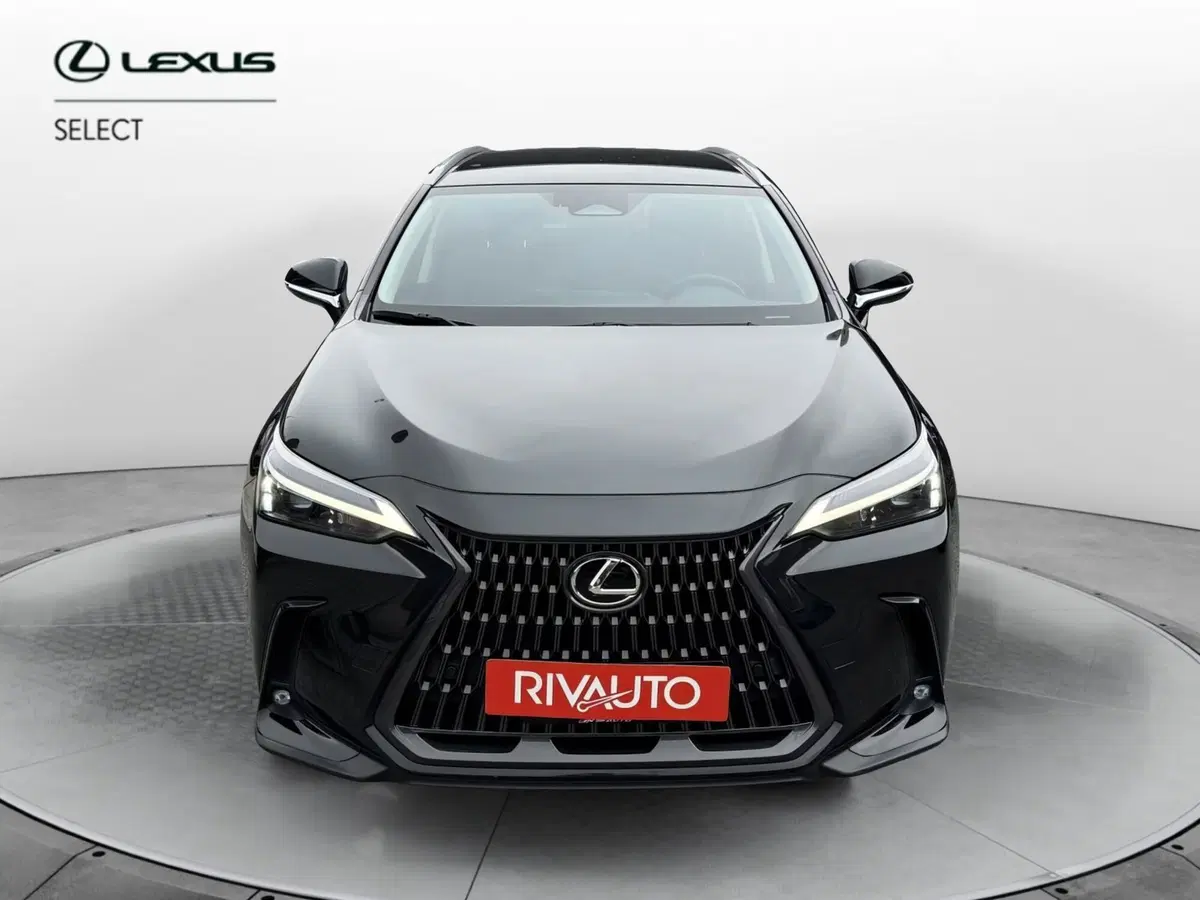 Lexus NX usata a Como (4)
