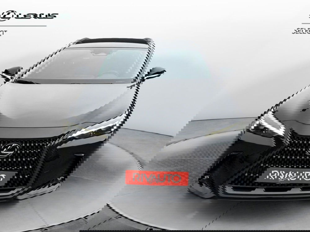 Lexus NX usata a Como (4)