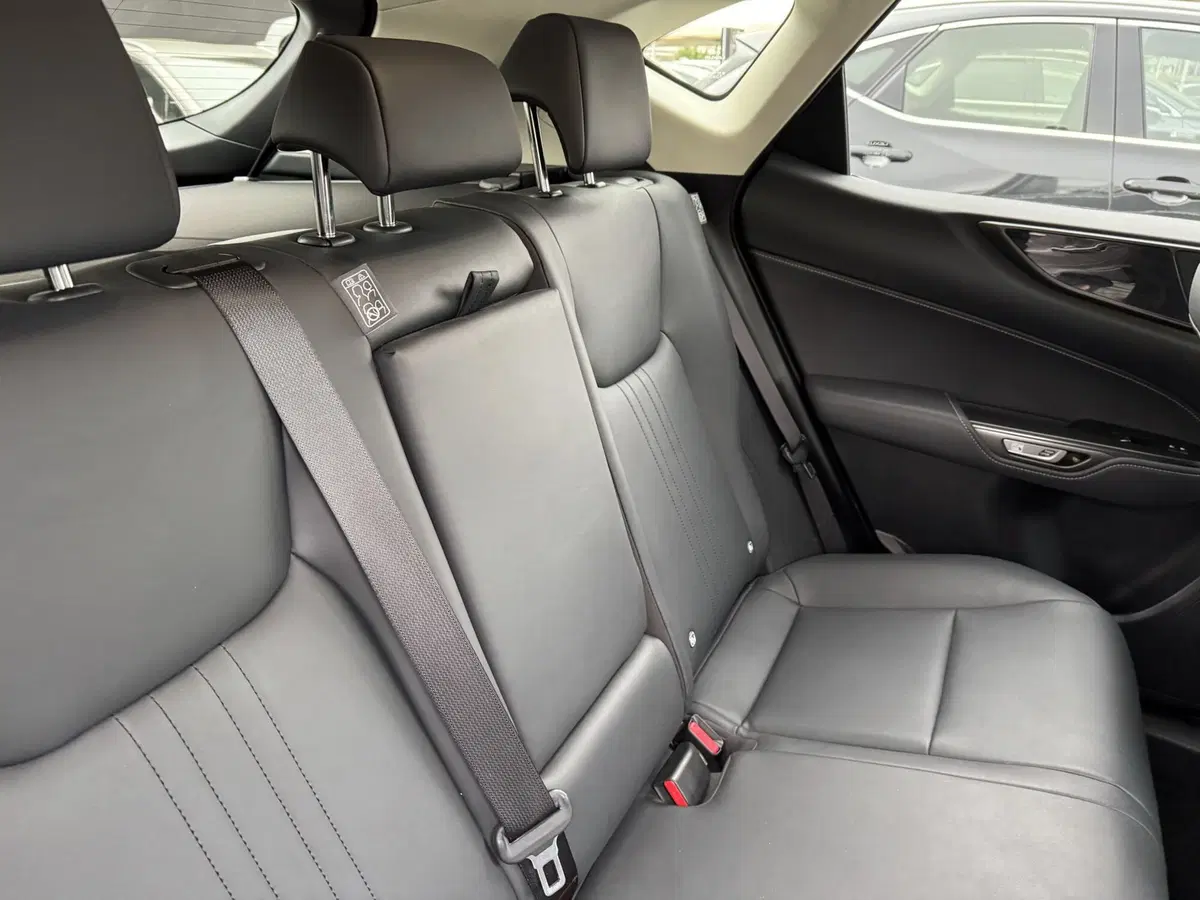 Lexus NX usata a Como (6)