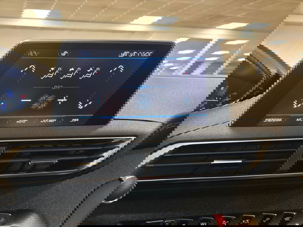 Peugeot 3008 usata a Torino (14)