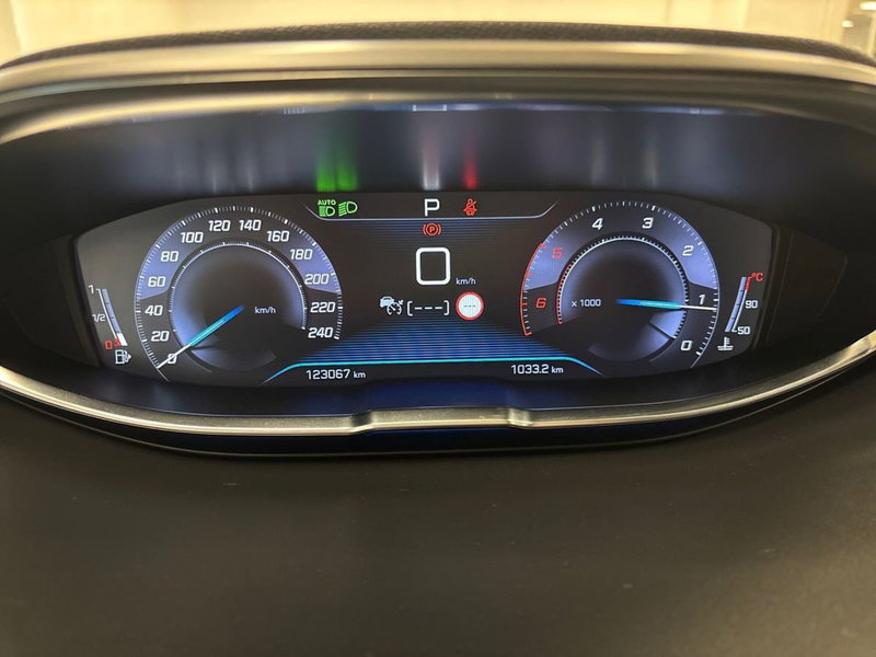 Peugeot 3008 usata a Torino (7)