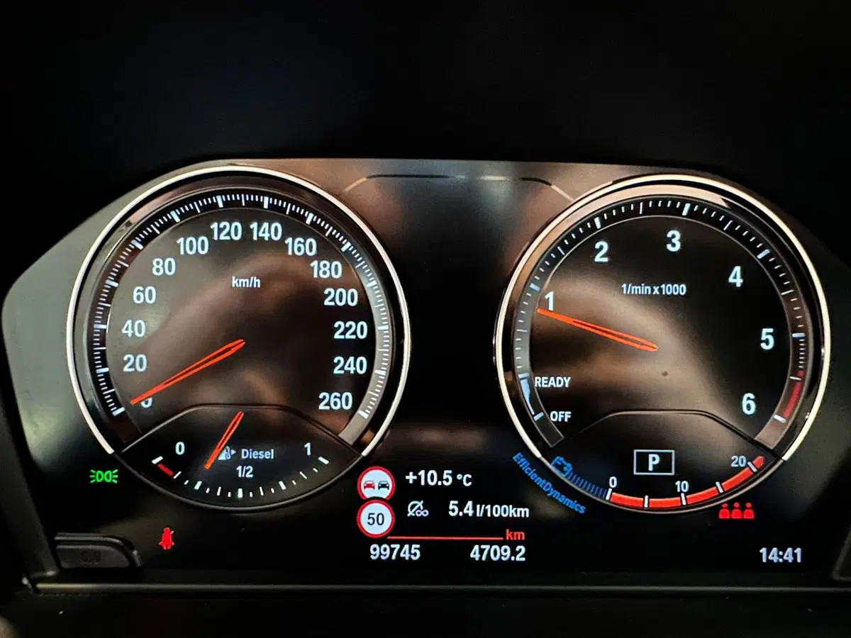BMW X1 usata a Cuneo (15)