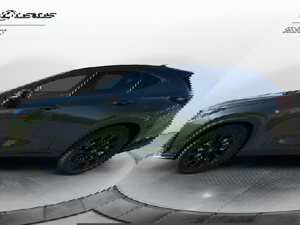 Lexus NX usata a Bergamo (2)