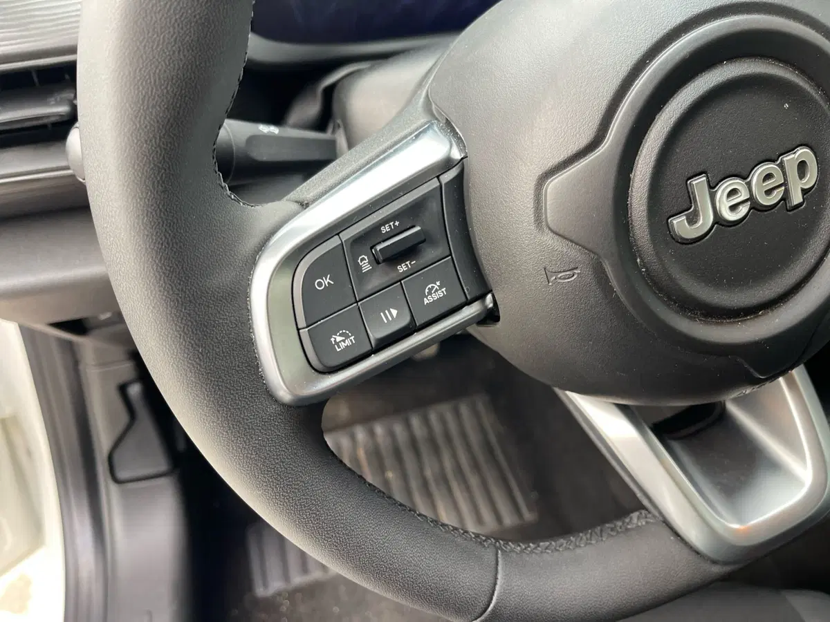 Jeep Avenger usata a Frosinone (17)