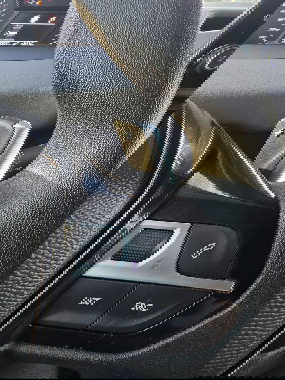 Peugeot Rifter usata a Massa-Carrara (20)