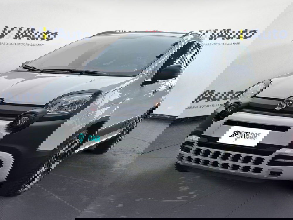 Fiat Panda Cross usata a Massa-Carrara