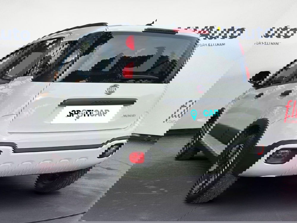 Fiat Panda Cross usata a Massa-Carrara (18)