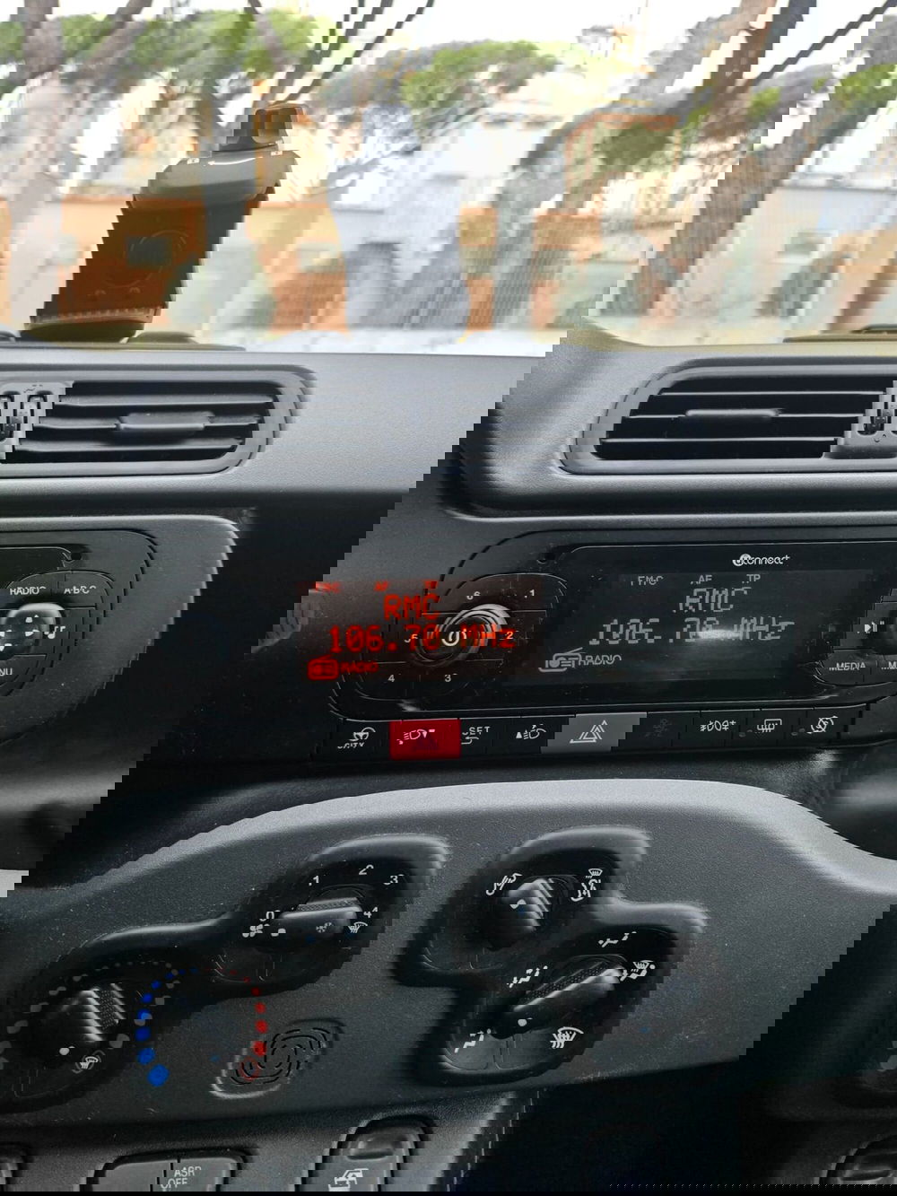 Fiat Panda Cross usata a Massa-Carrara (19)