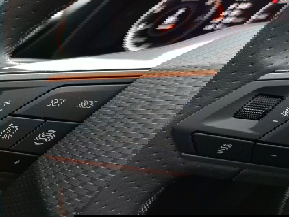 Cupra Formentor usata a Bari (10)