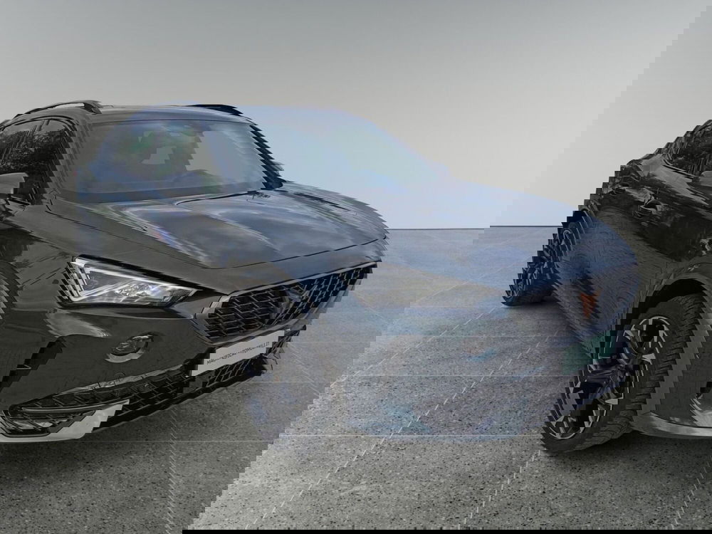 Cupra Formentor usata a Bari (16)