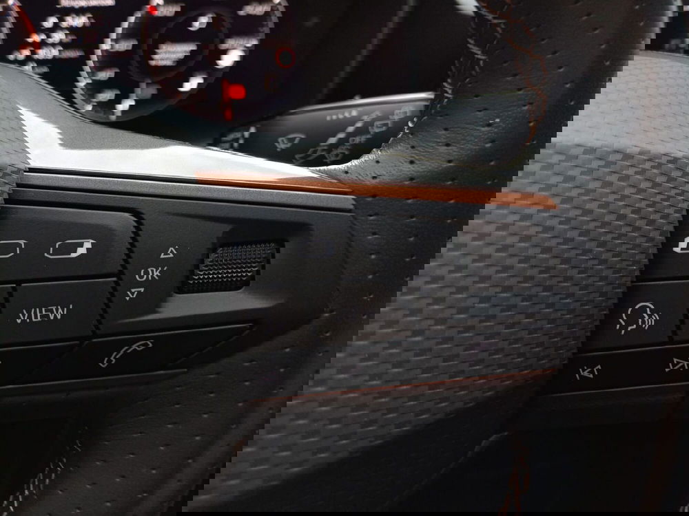 Cupra Formentor usata a Bari (18)