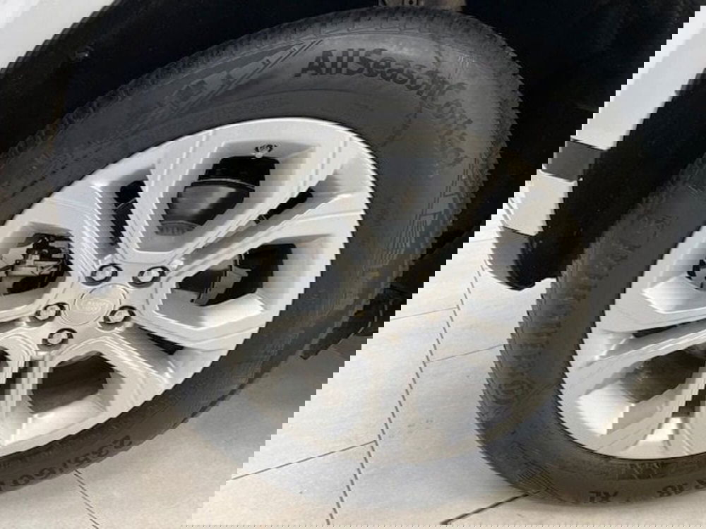 Land Rover Range Rover Evoque usata a Imperia (20)