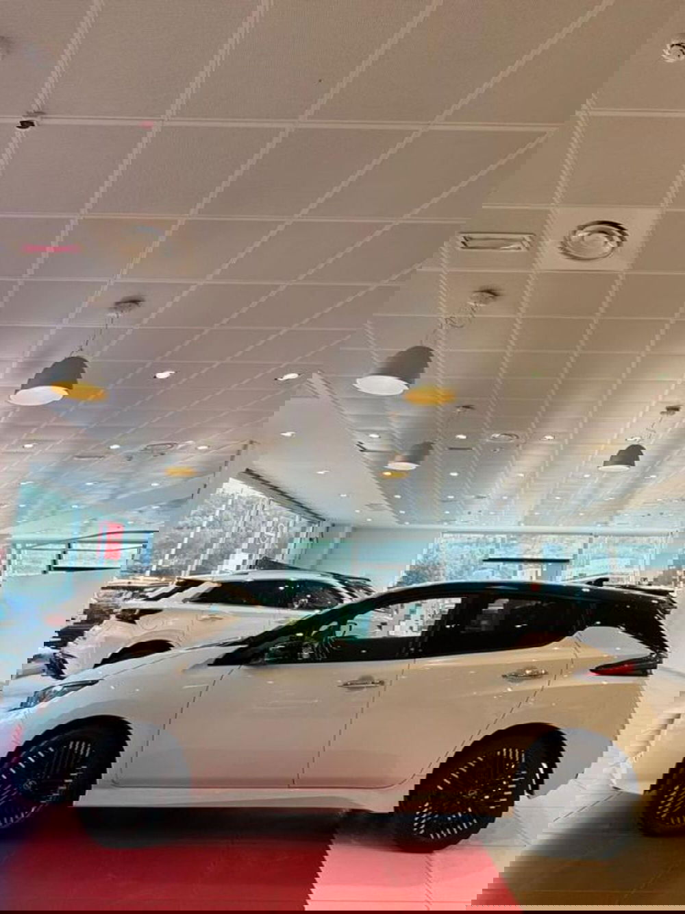 Nissan Leaf usata a Sassari (2)