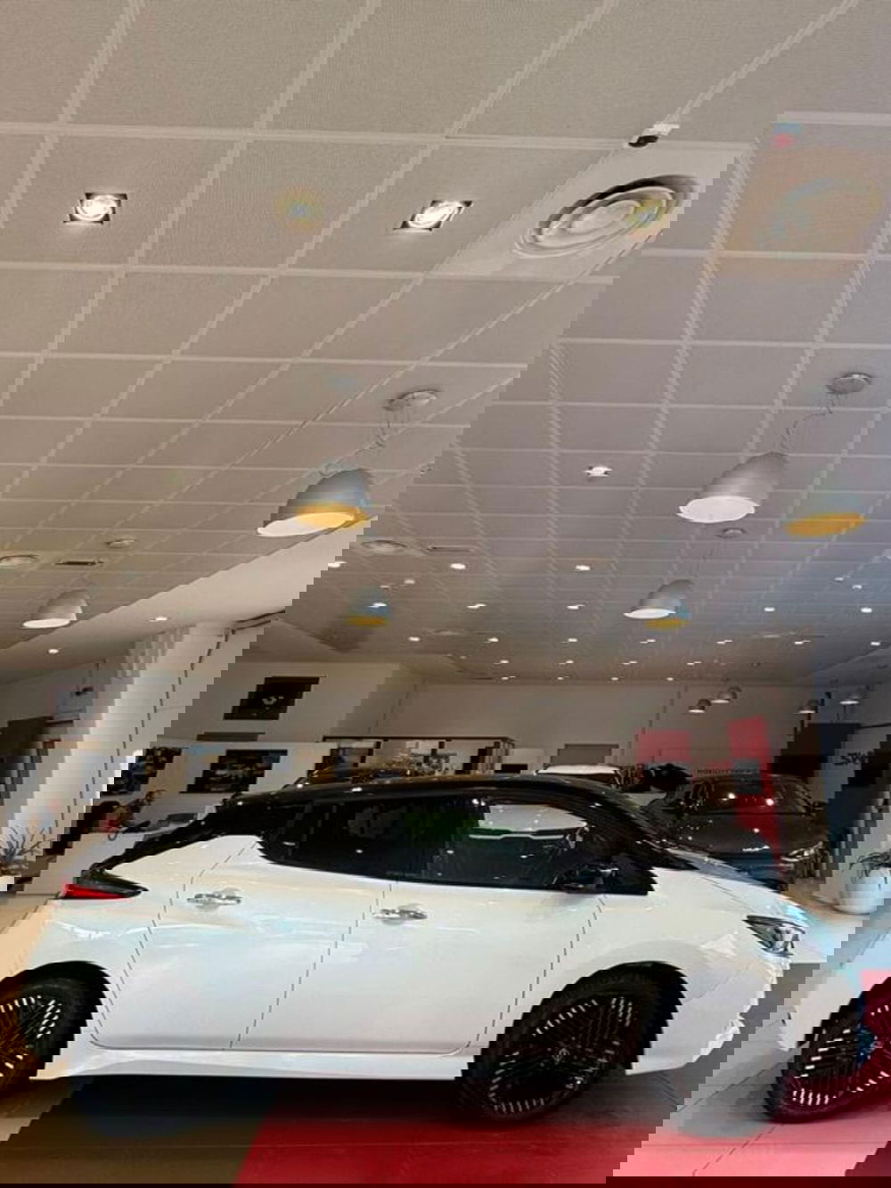 Nissan Leaf usata a Sassari (4)