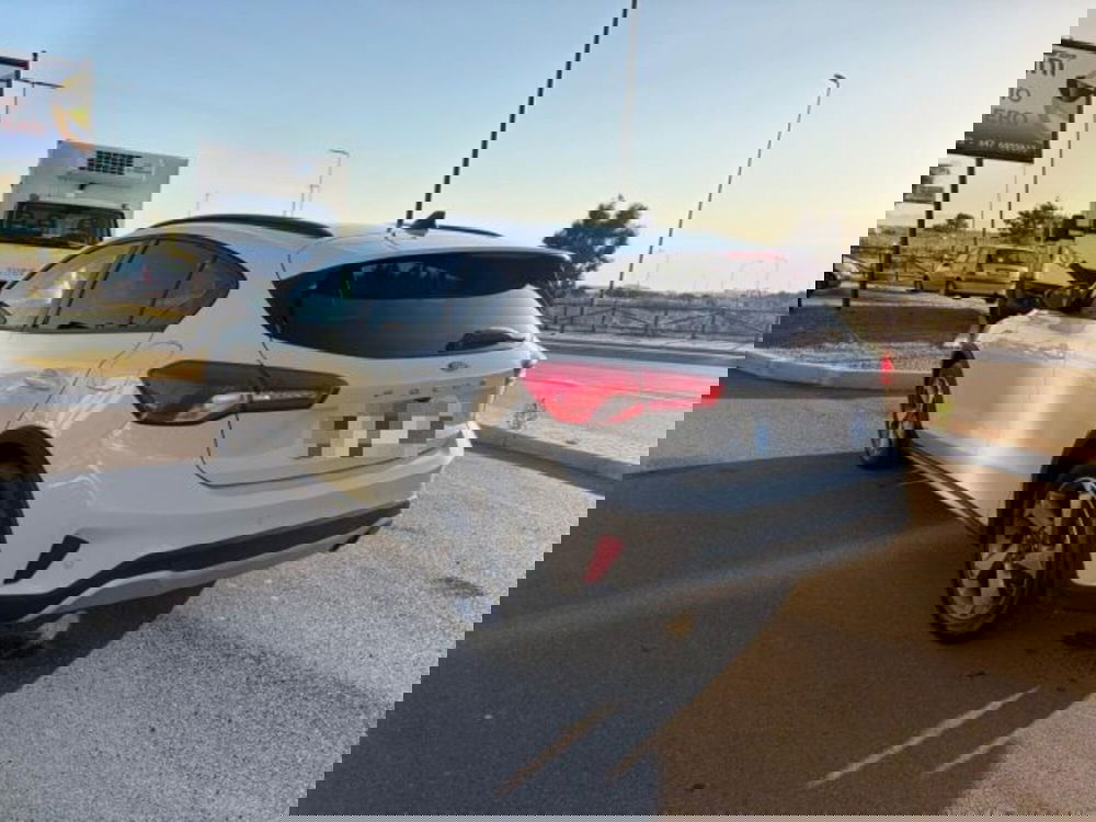 Ford Focus usata a Sassari (4)