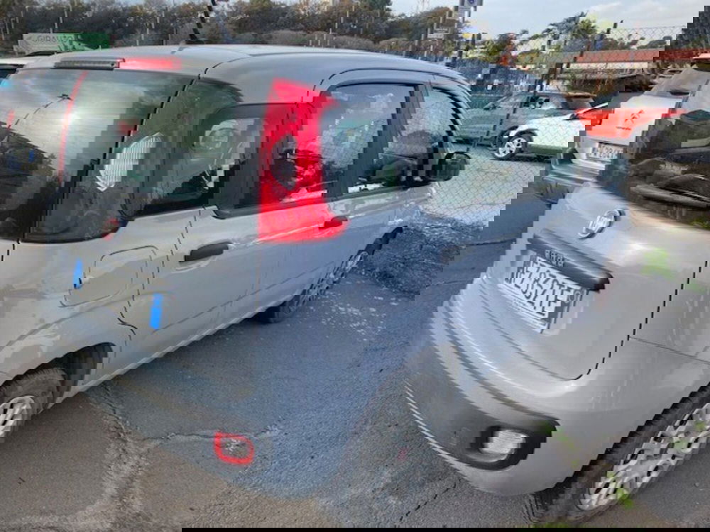 Fiat Panda usata a Catania (4)