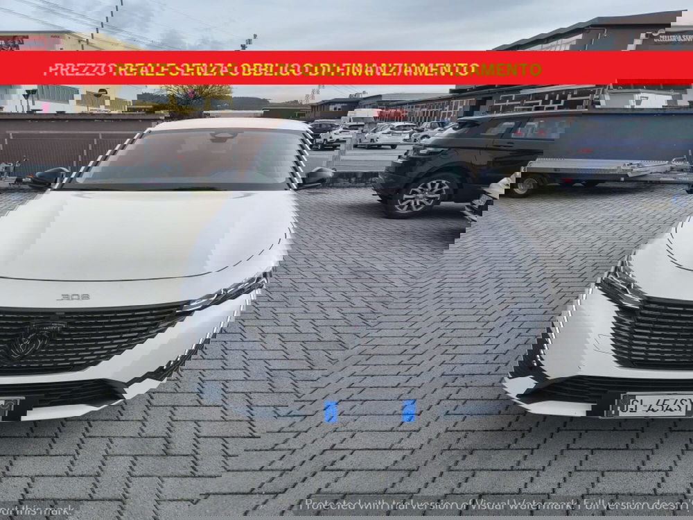 Peugeot 308 SW usata a Firenze (2)