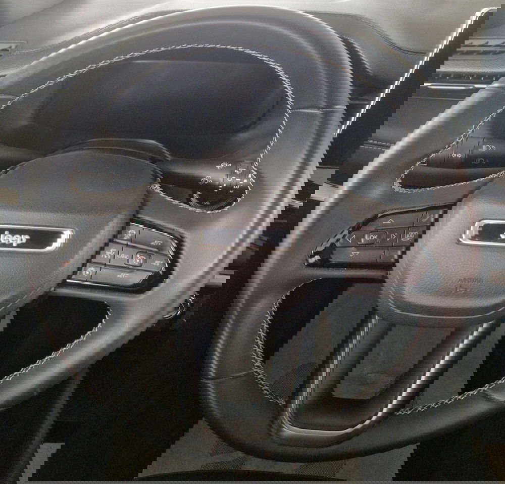 Jeep Compass usata a Terni (14)