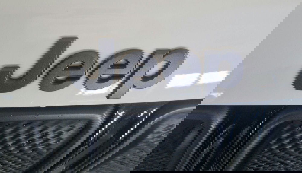 Jeep Compass usata a Terni (20)