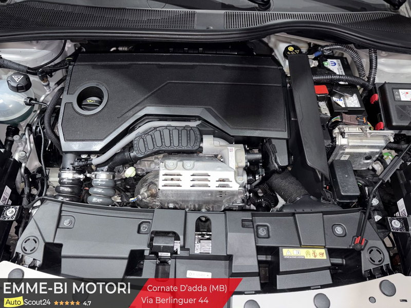 Fiat 600 usata a Monza e Brianza (14)