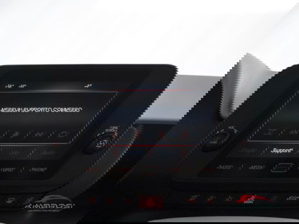 Fiat Panda Cross usata a Perugia (14)