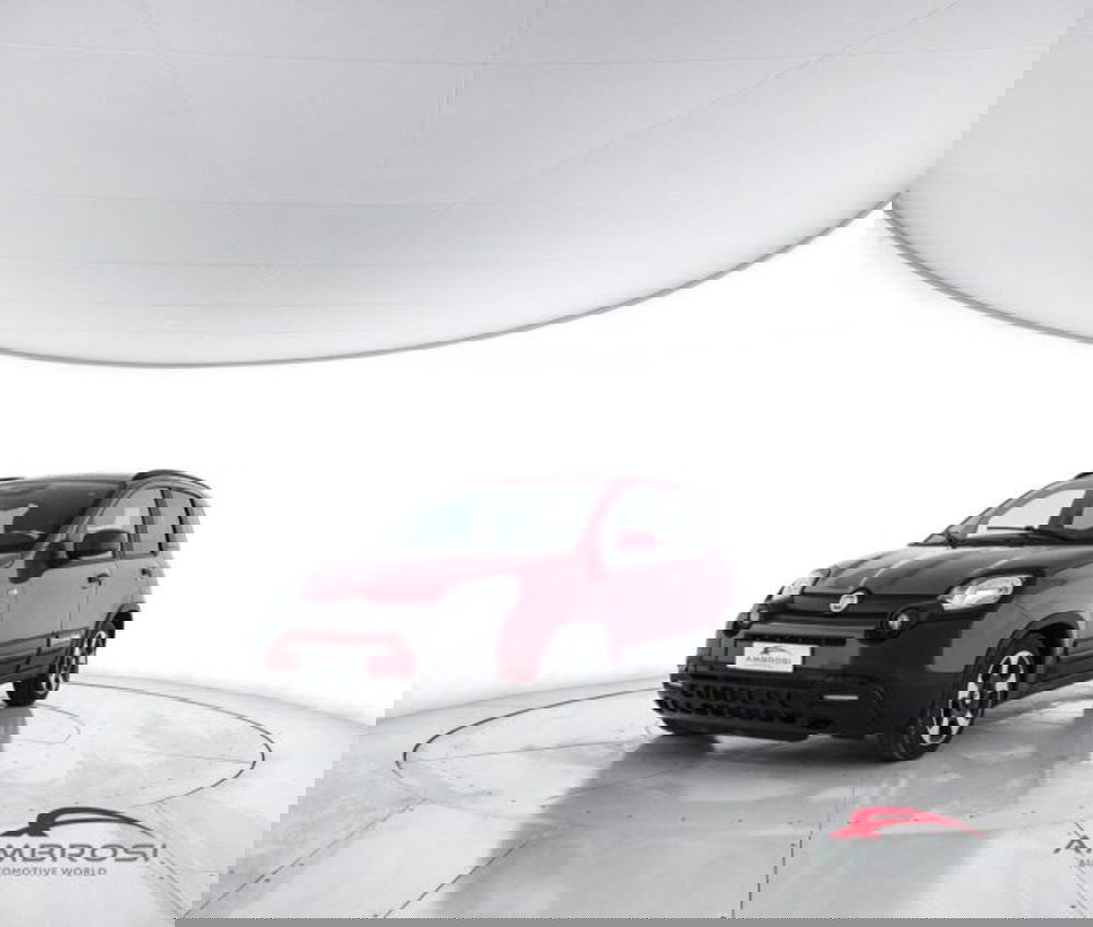 Fiat Panda Cross usata a Perugia