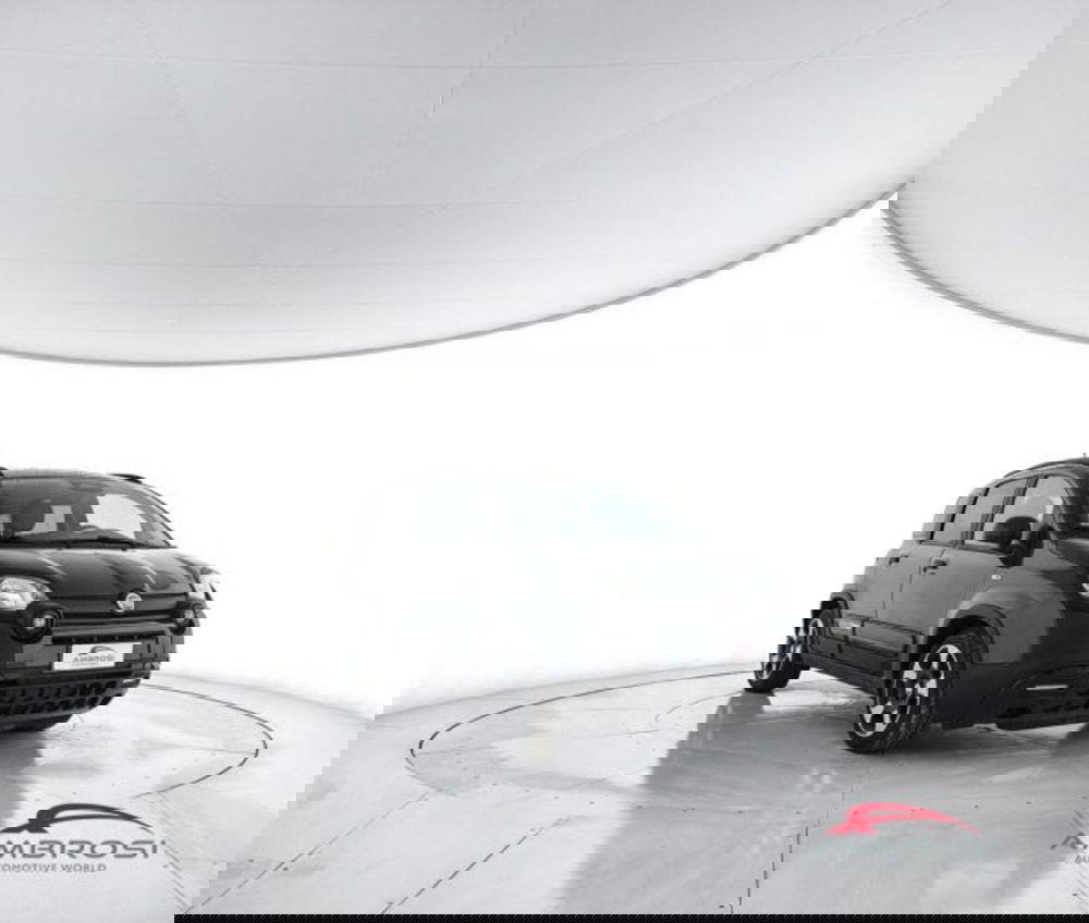 Fiat Panda Cross usata a Perugia (2)