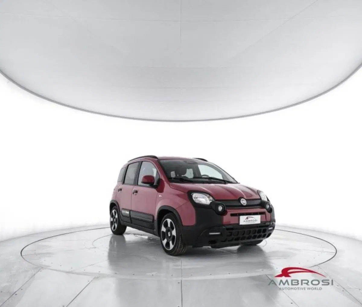 Fiat Panda Cross usata a Perugia (2)