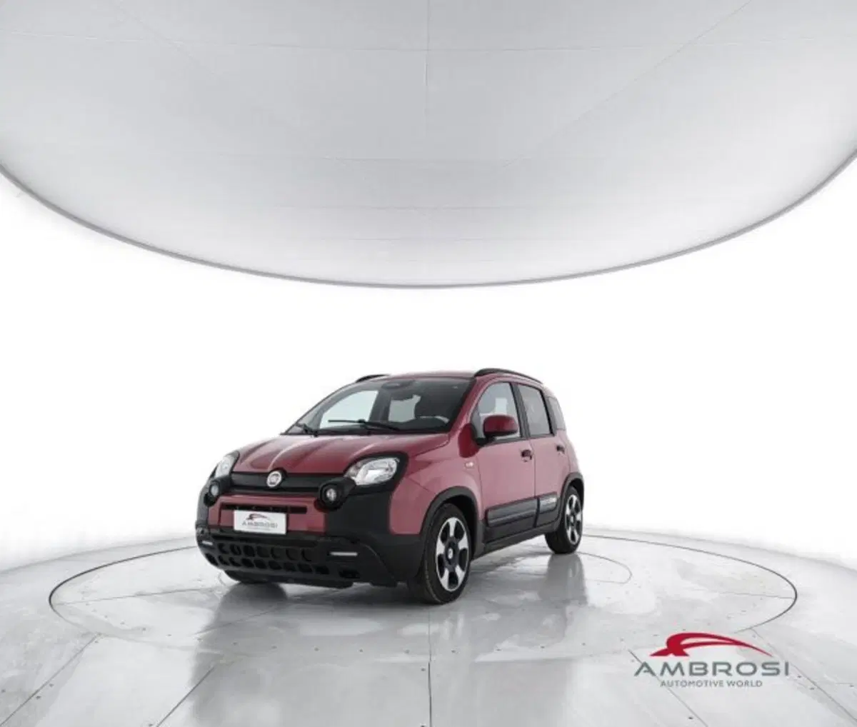 Fiat Panda Cross usata a Perugia
