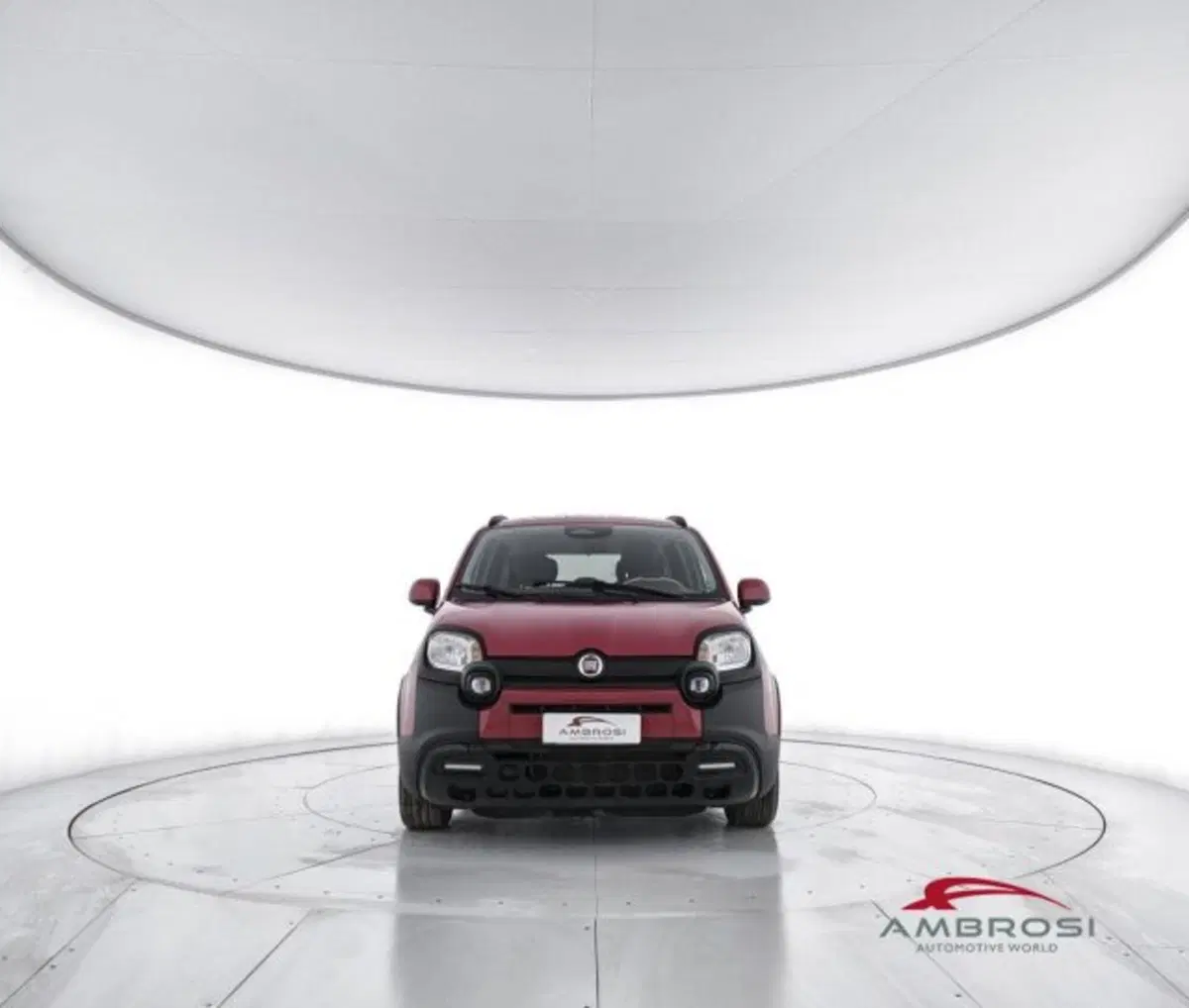 Fiat Panda Cross usata a Perugia (5)
