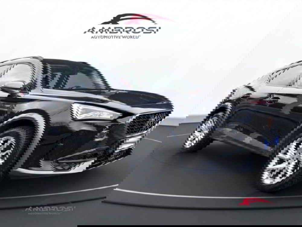 Cupra Formentor usata a Perugia (2)