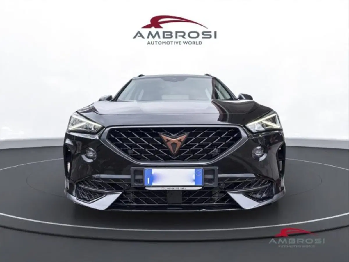 Cupra Formentor usata a Perugia (7)