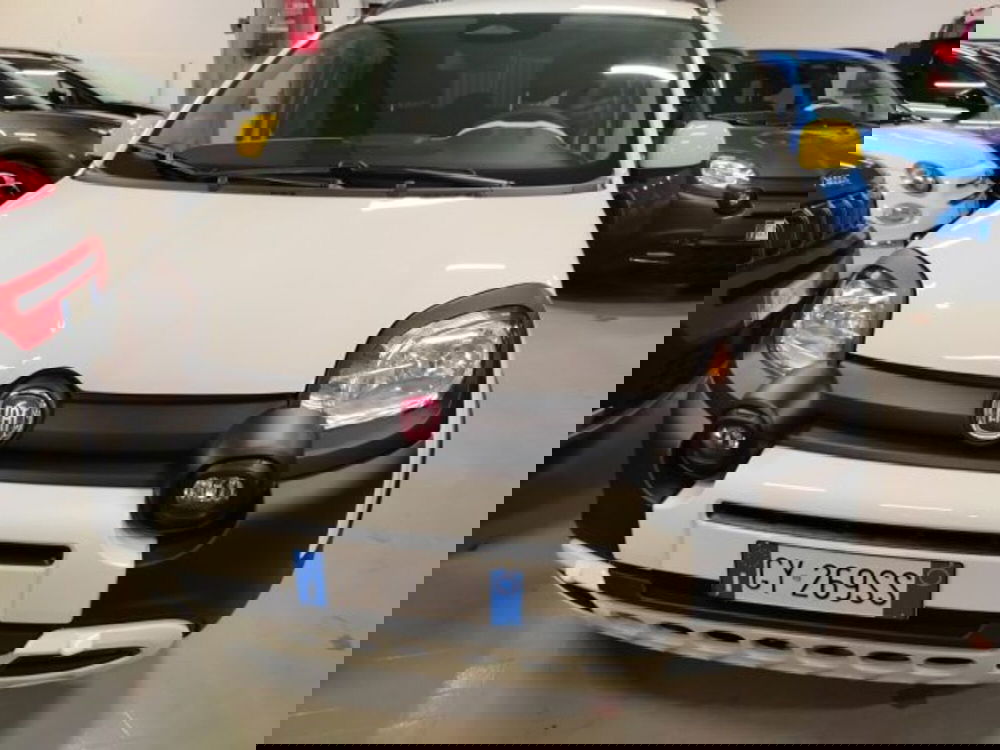 Fiat Panda usata a Forlì-Cesena (2)