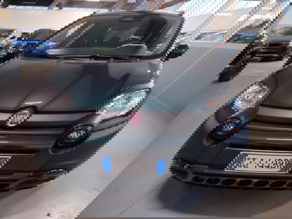 Fiat Panda usata a Forlì-Cesena (3)