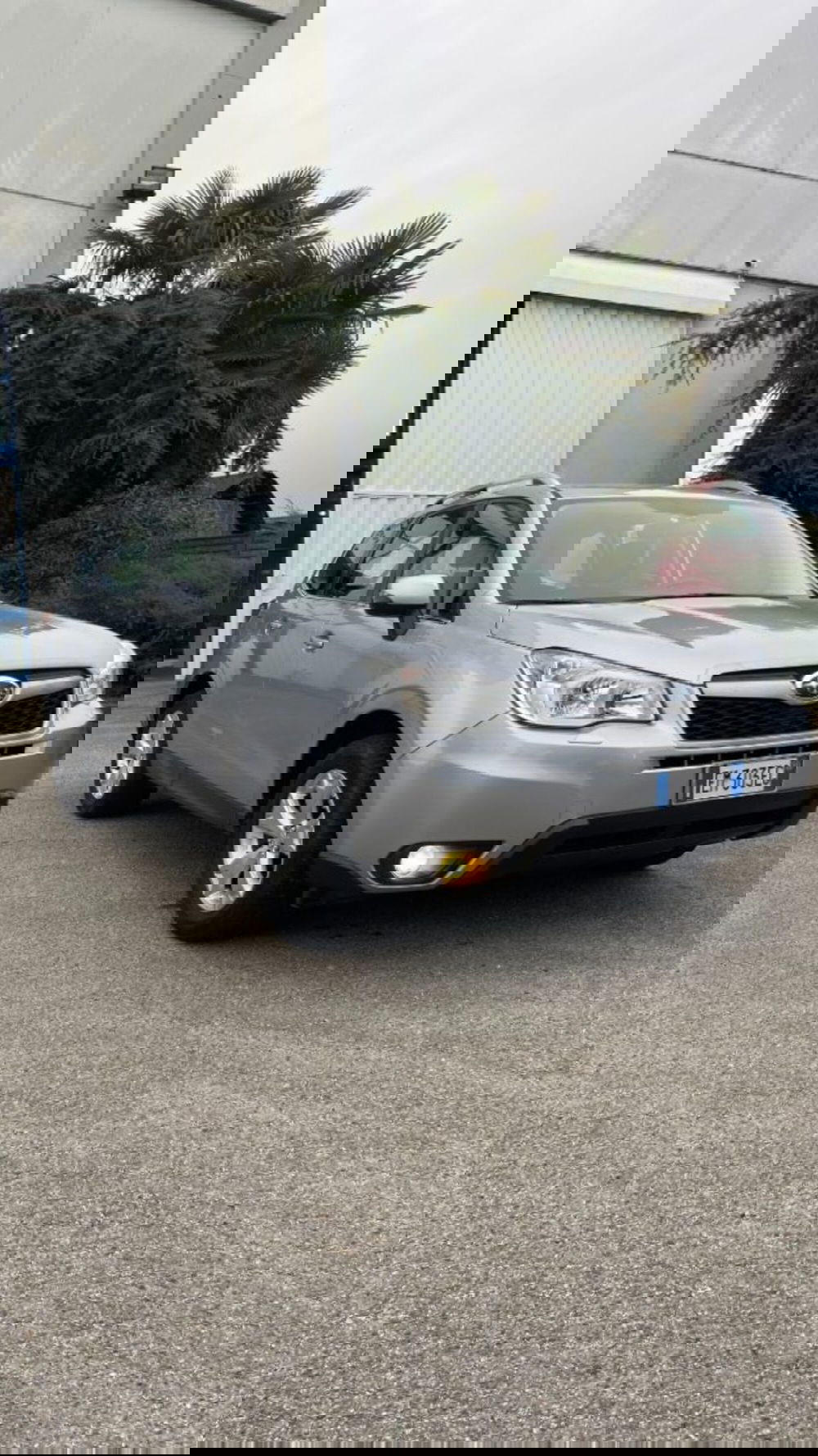 Subaru Forester usata a Novara (2)