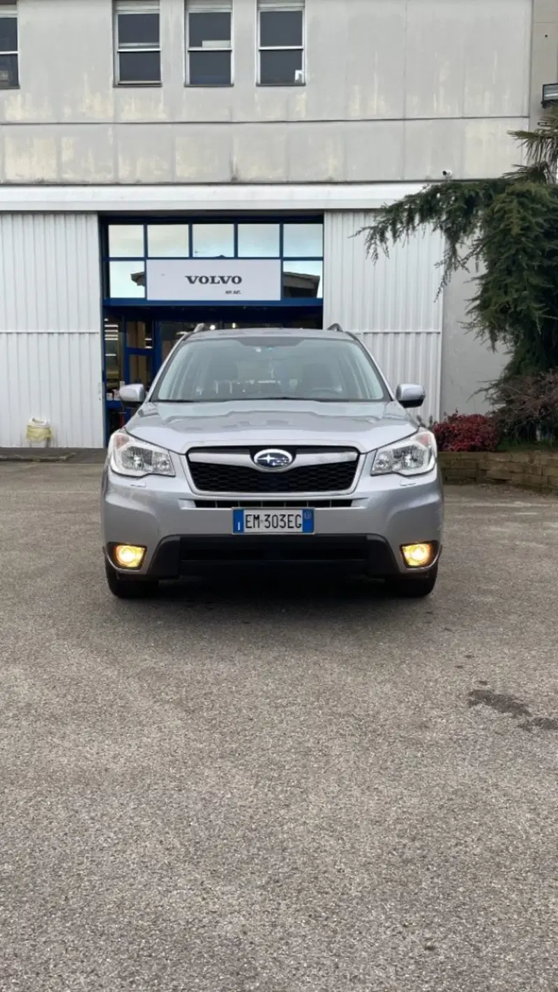 Subaru Forester usata a Novara (3)