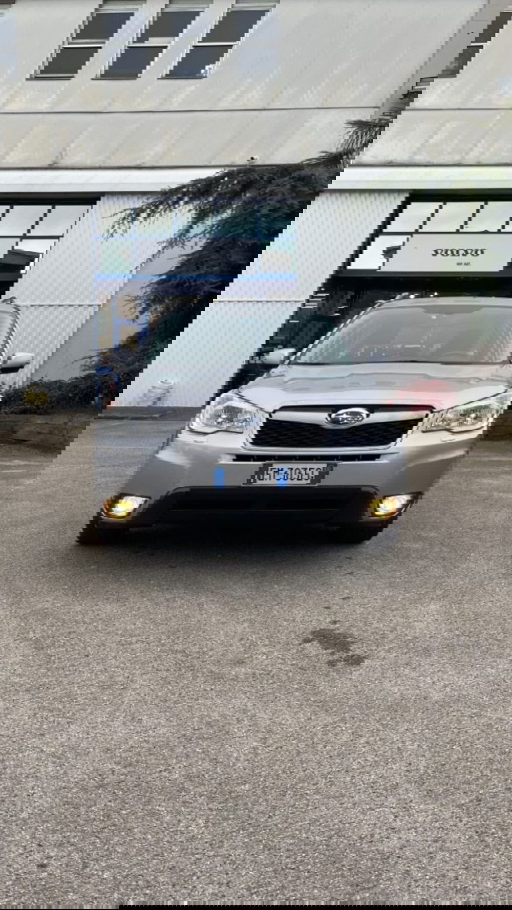 Subaru Forester usata a Novara (3)