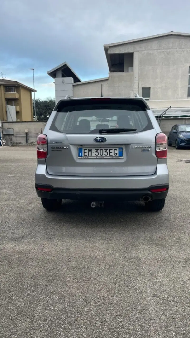 Subaru Forester usata a Novara (5)