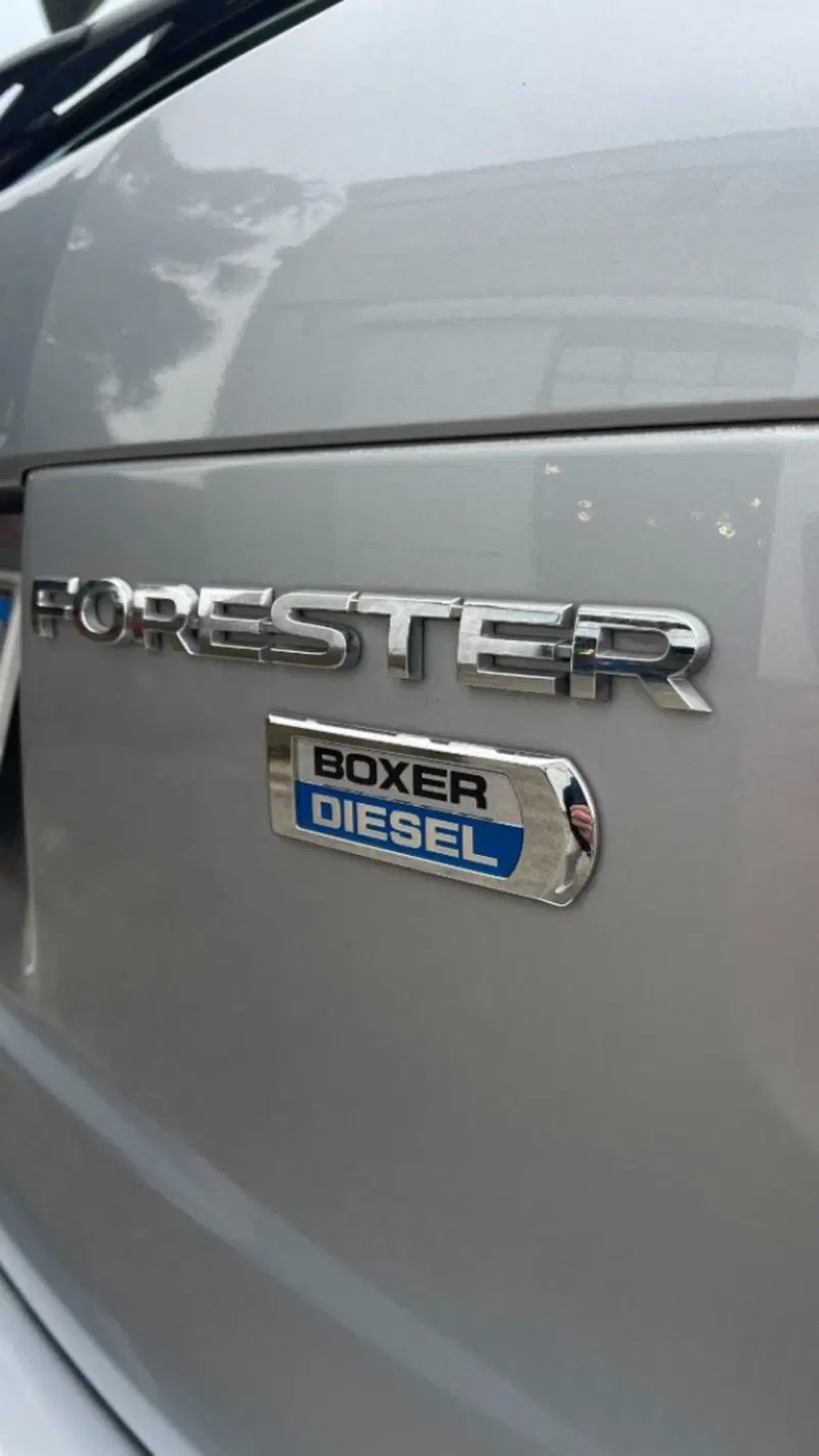Subaru Forester usata a Novara (8)