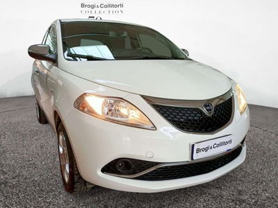 Lancia Ypsilon 0.9 TwinAir 85 CV 5 porte Metano Ecochic Platinum del 2019 usata a Empoli