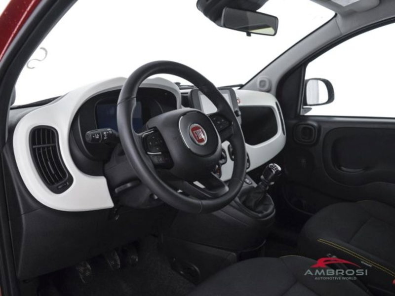 Fiat Panda Cross usata a Perugia (8)