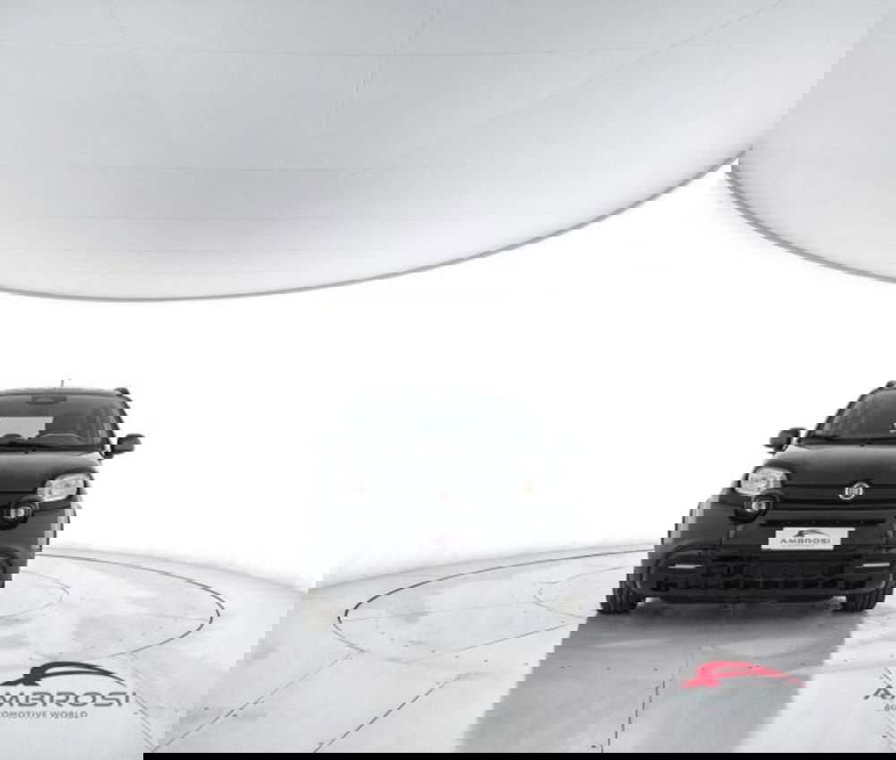 Fiat Panda Cross usata a Perugia (5)