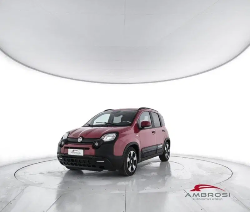 Fiat Panda Cross usata a Perugia